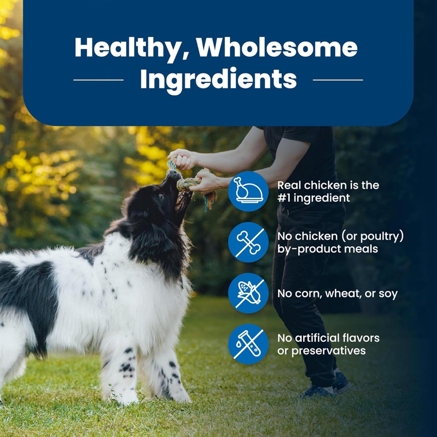 Life Protection Formula Natural Adult Dry Dog Food, Chicken and Brown Rice 30-Lb