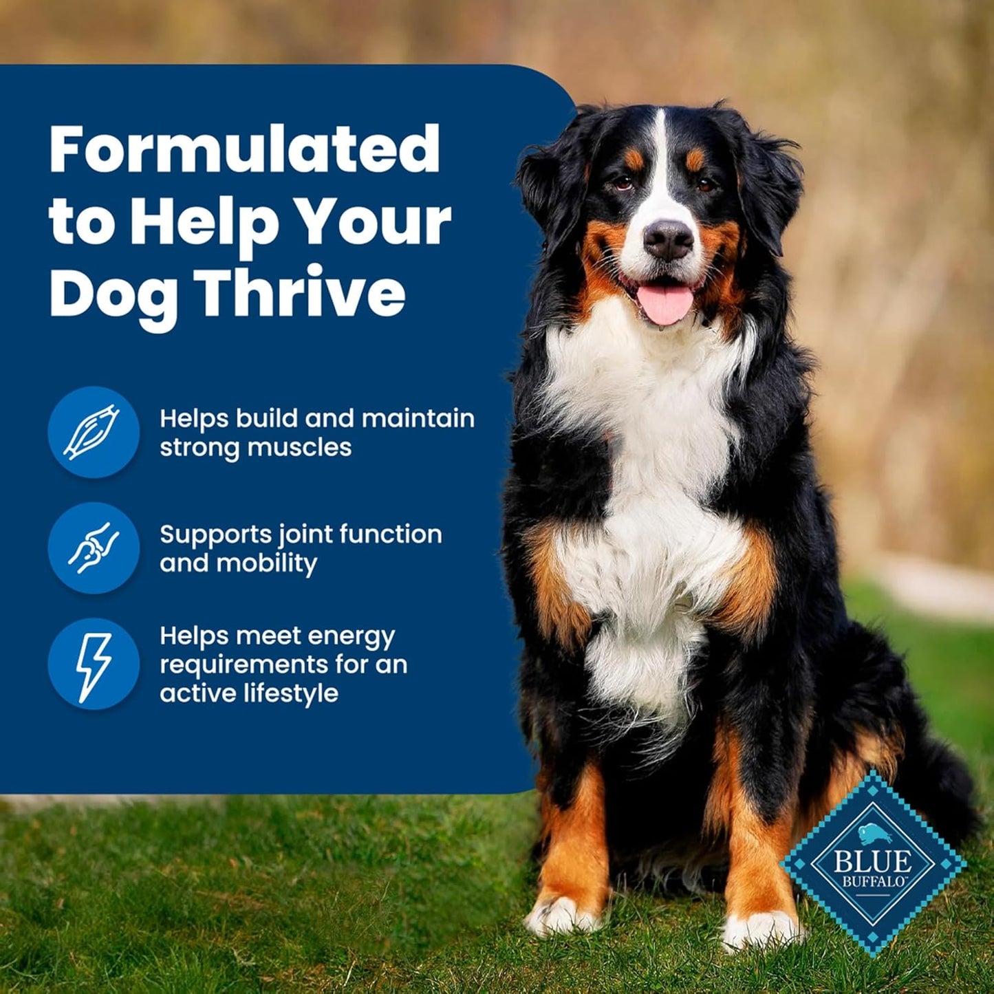 Life Protection Formula Natural Adult Dry Dog Food, Chicken and Brown Rice 30-Lb